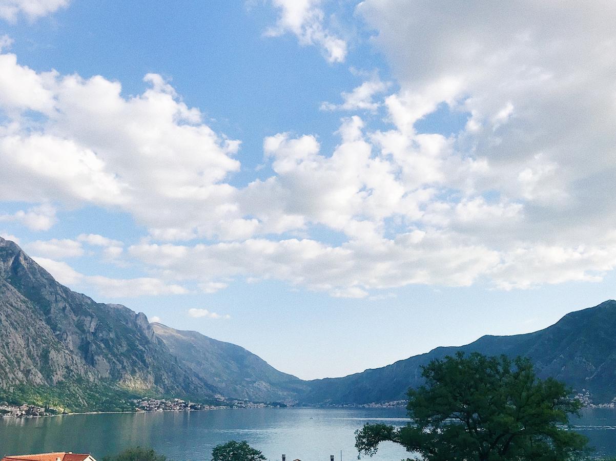 White House Kotor